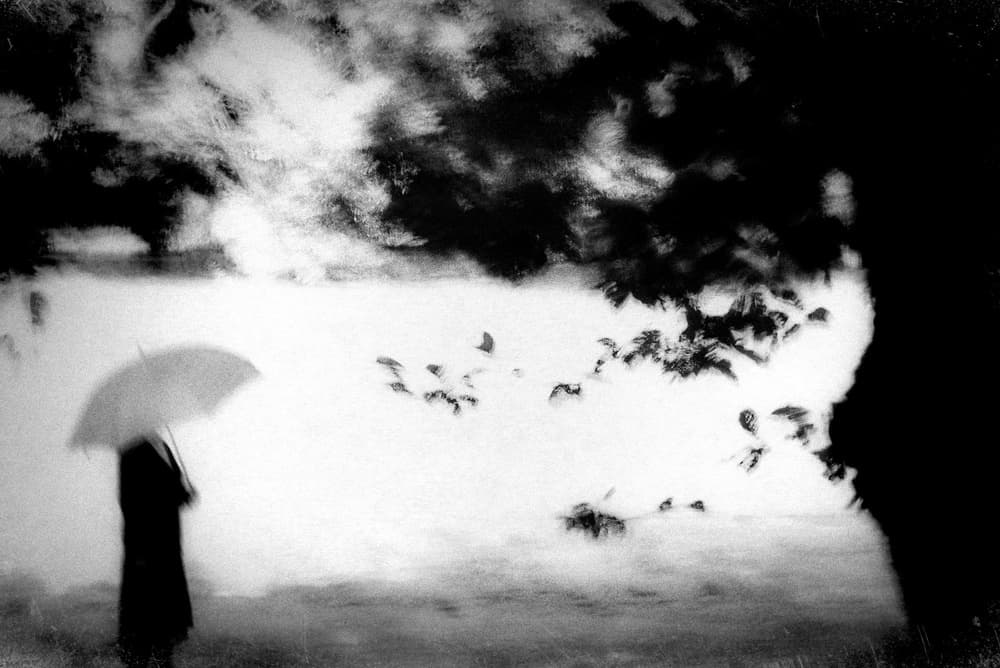 Moody Figure with Umbrella by Teruhiko Tsuchida — canvas wall art