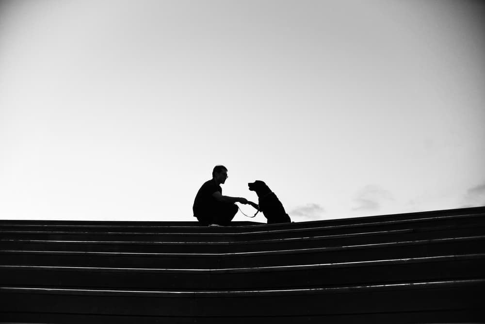 Man and Dog Silhouette by Reiko kiri — canvas wall art