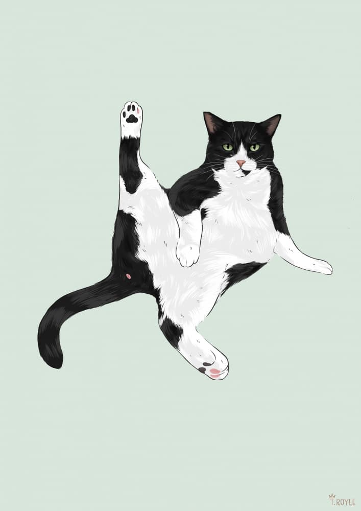 Funny Cat Pose by Tara Royle — canvas wall art