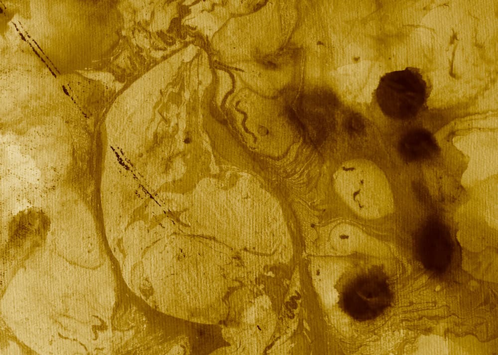 Golden Marble Swirls by Santhosh ch — canvas wall art