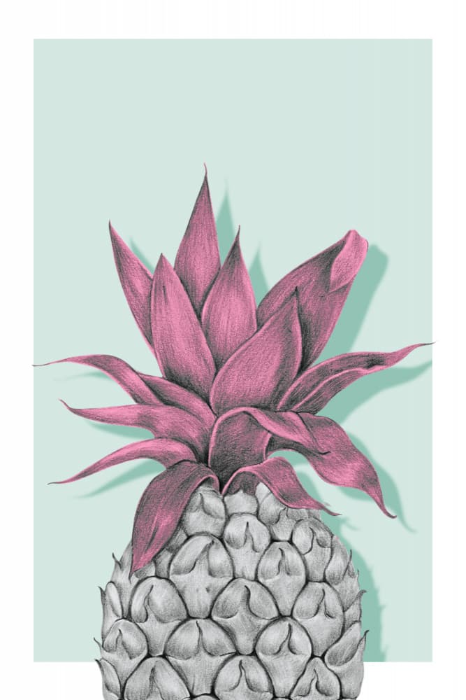Tropical Pink Pineapple by Marja van den Hurk — canvas wall art