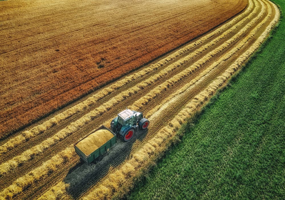 Tractor Harvesting Crops by Guy Krier — canvas wall art