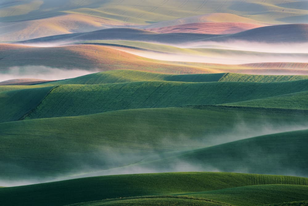 Misty Green Hills by 李从军 / Austin Li — canvas wall art