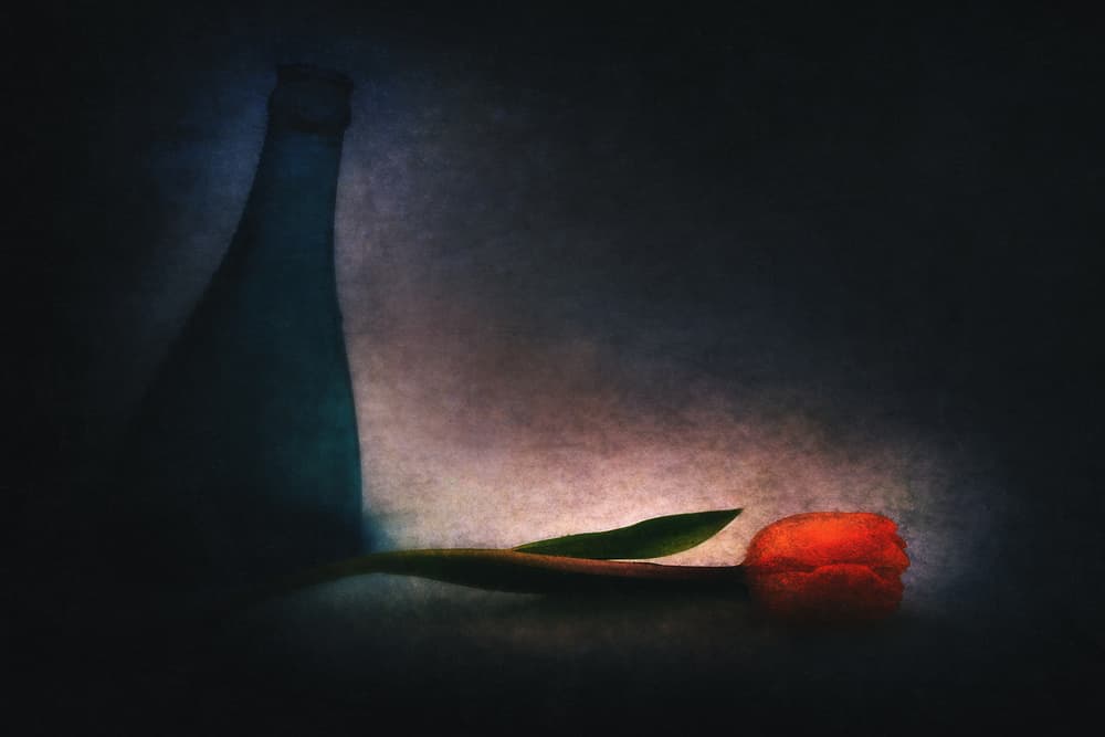 Moody Tulip and Bottle by Gustav Davidsson — canvas wall art
