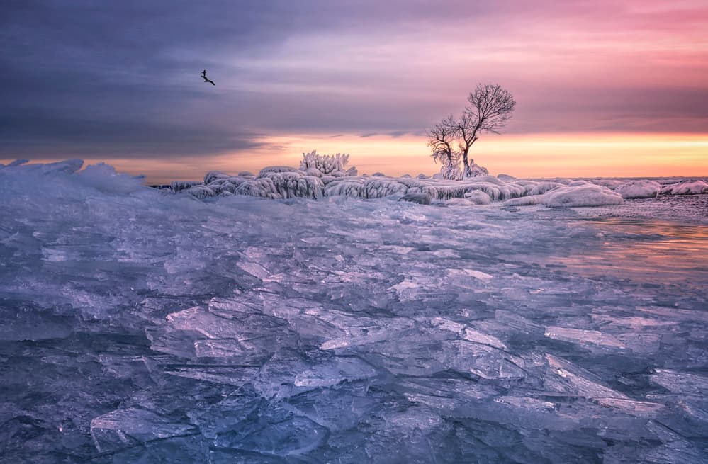 Frozen Lake Dawn Sky by Larry Deng APA — canvas wall art
