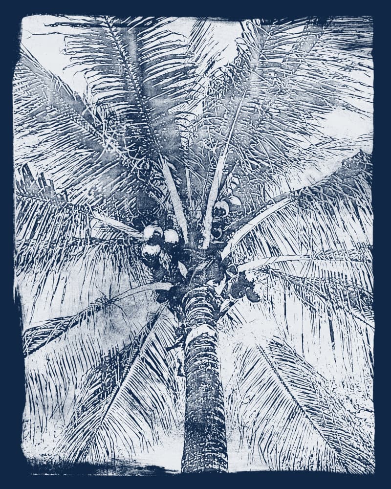 Indigo Coconut Palm by Renée Stramel — canvas wall art