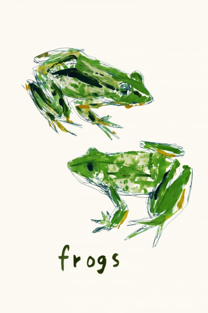 Two Green Frogs Drawing by Treechild — canvas wall art