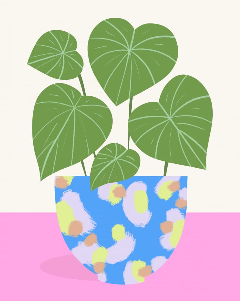 Plant in Patterned Pot by Melissa Donne — canvas wall art
