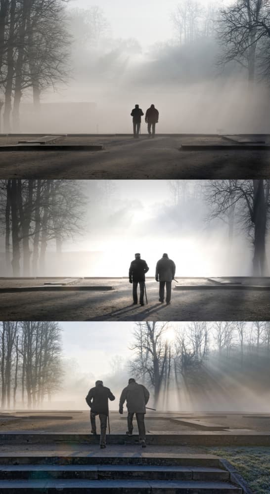 Misty Morning Walk by Isabelle DUPONT — canvas wall art