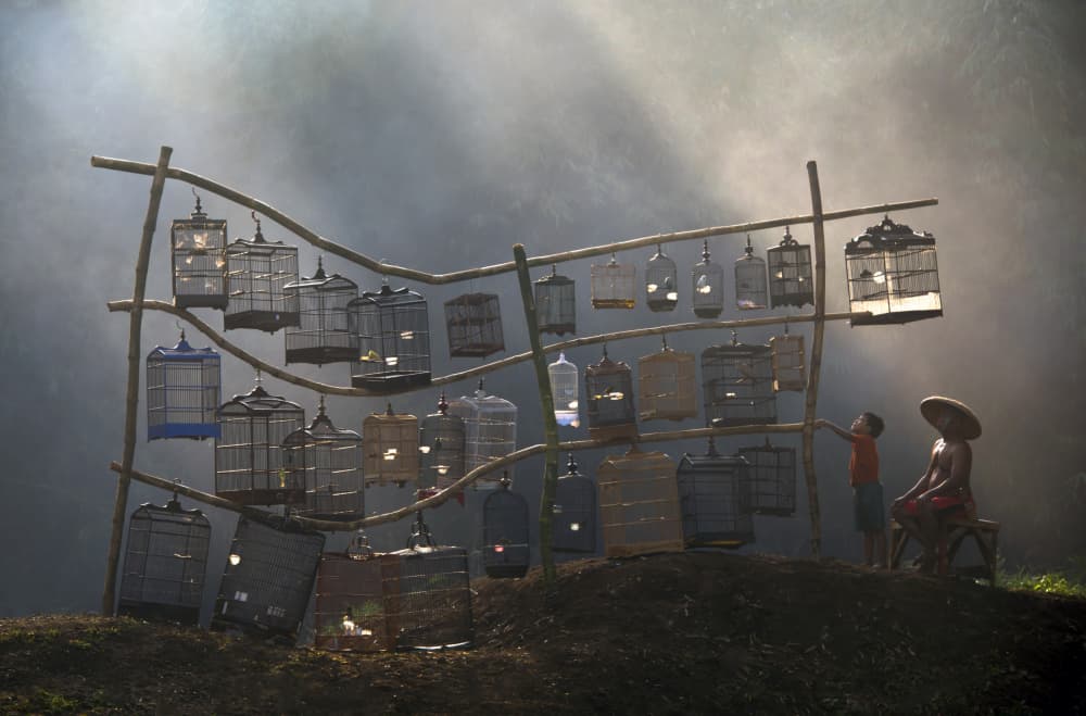 Misty Morning Bird Cages by Ajar Setiadi — canvas wall art