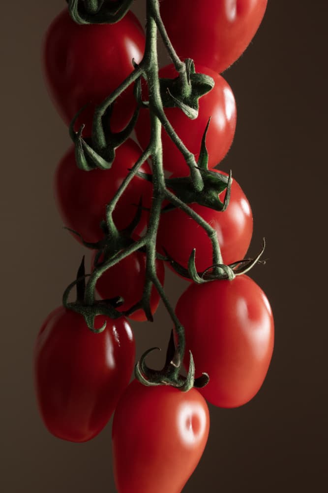 Vibrant Cherry Tomatoes by Julia Ramiro — canvas wall art