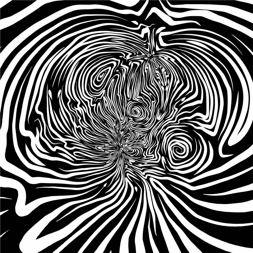 Optical Swirl Pattern by Josie George — canvas wall art