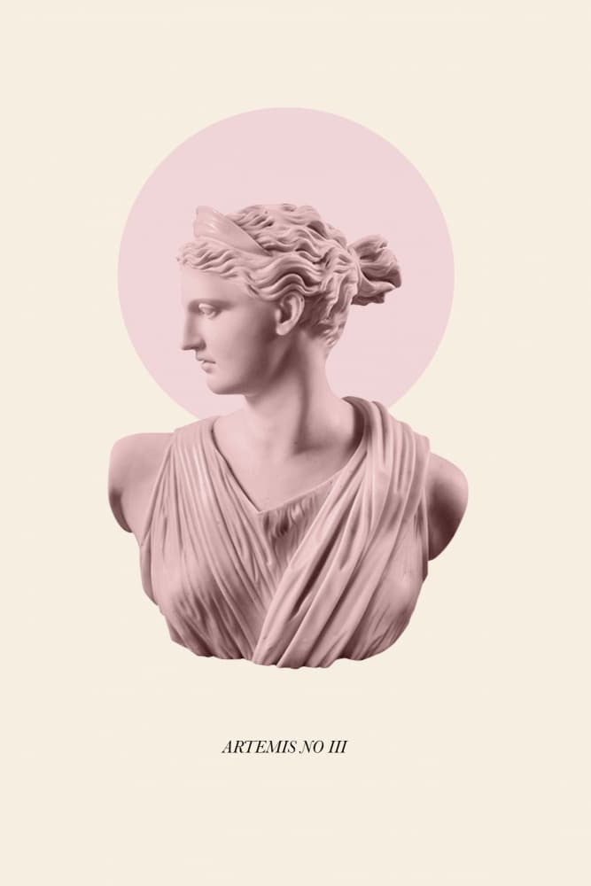 Pink Artemis Bust by Talitha McQueen — canvas wall art