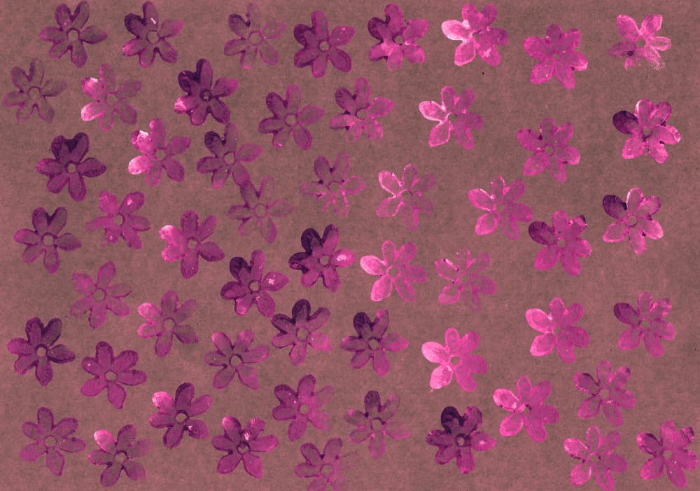 Sweet Magenta Blooms by Santhosh ch — canvas wall art