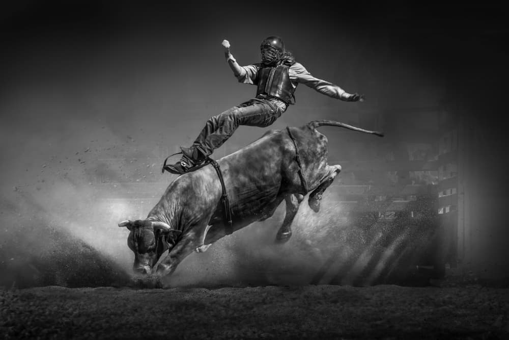 Bull Rider Flying High by Irene Wu — canvas wall art