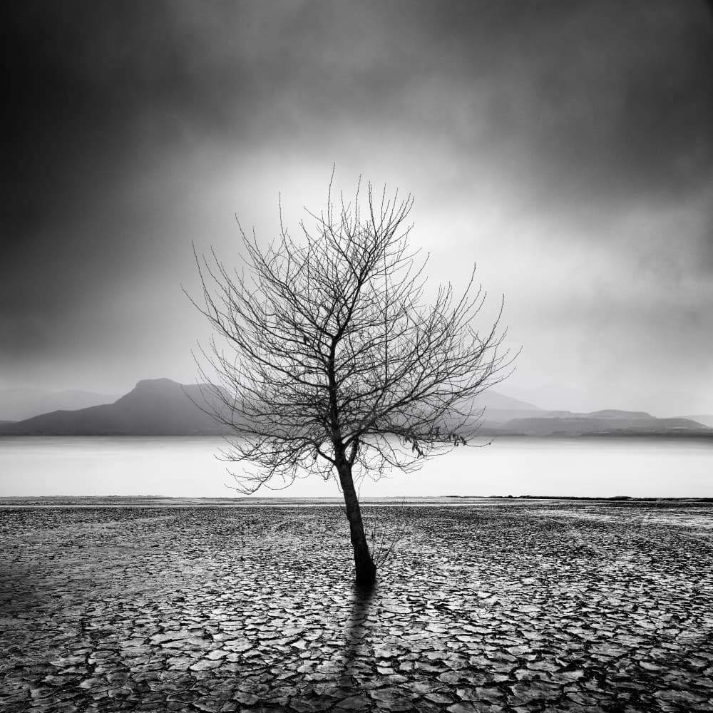 Lone Tree Moody Landscape by George Digalakis — canvas wall art