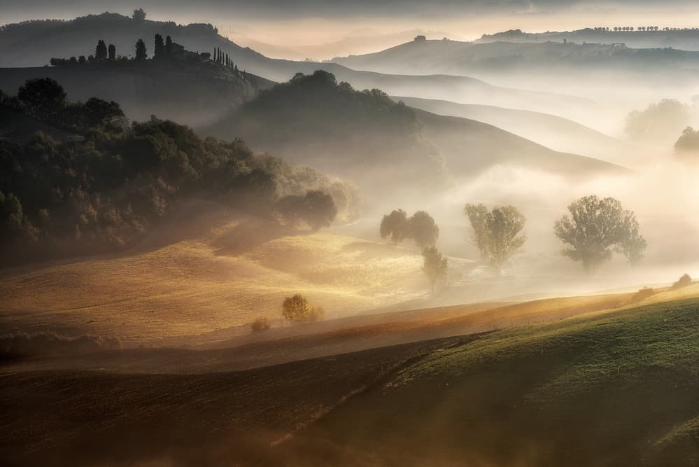 Misty Tuscan Hills by Adam Pachula — canvas wall art