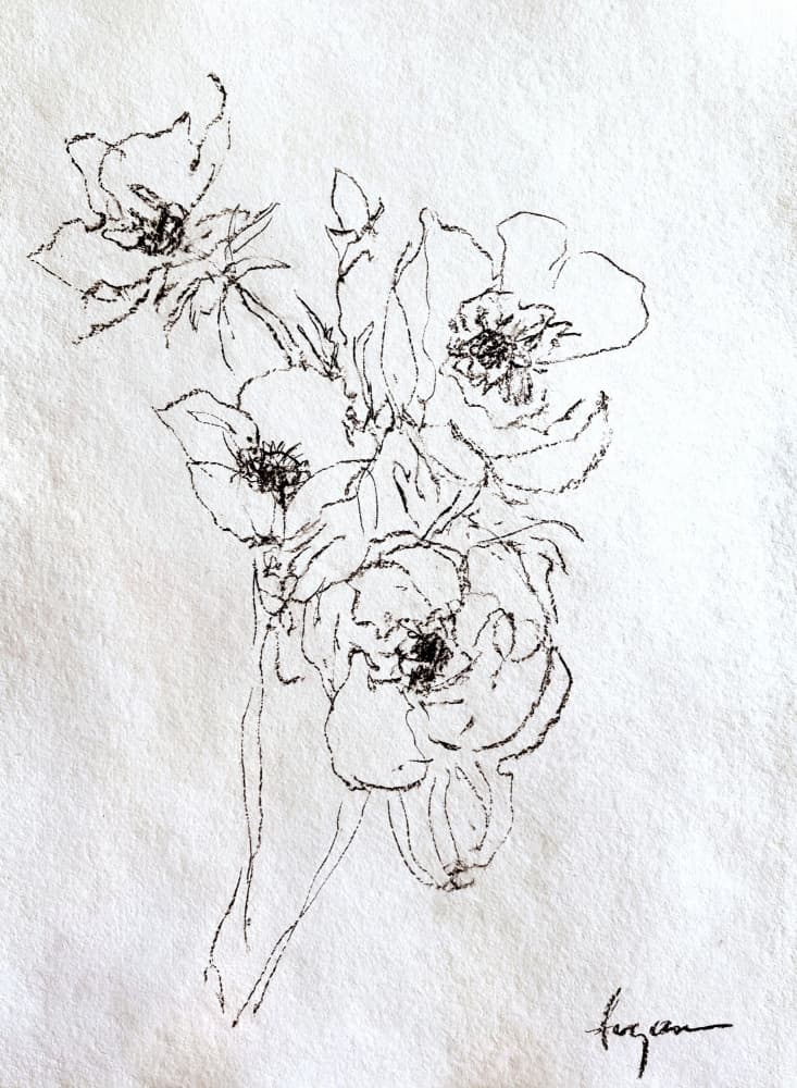 Delicate Floral Drawing by Dorothy Fagan — canvas wall art