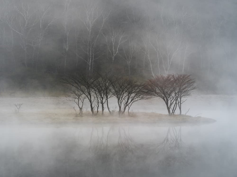 Misty Lake Island Trees by K_Tsunoda — canvas wall art