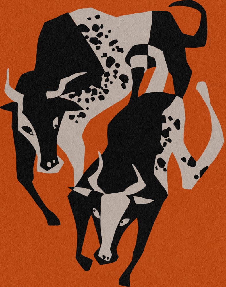 Dynamic Spotted Bulls by Ophelia Pang — canvas wall art