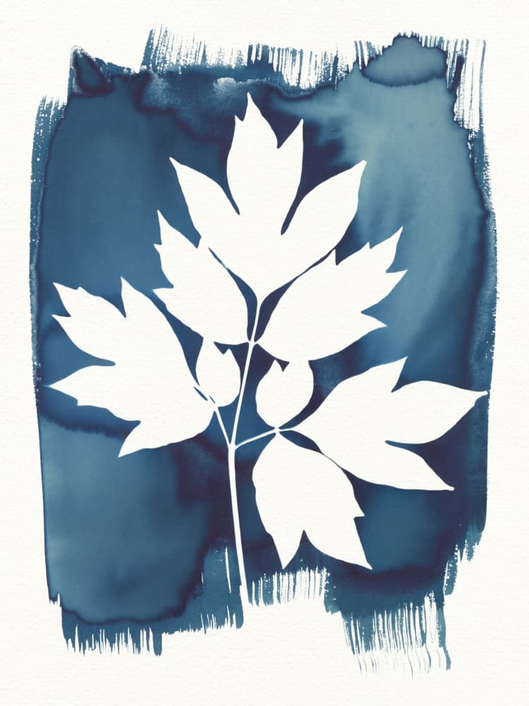 Blue Botanical Silhouette by Chickweeds Studio — canvas wall art
