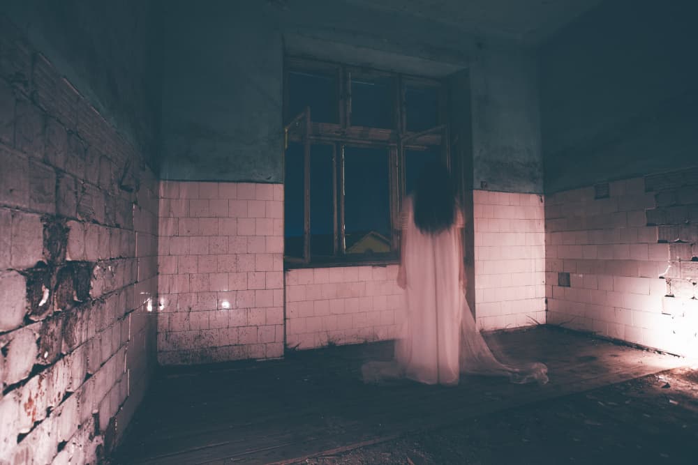 Haunting Spirit Dark Room by Eros Erika — canvas wall art