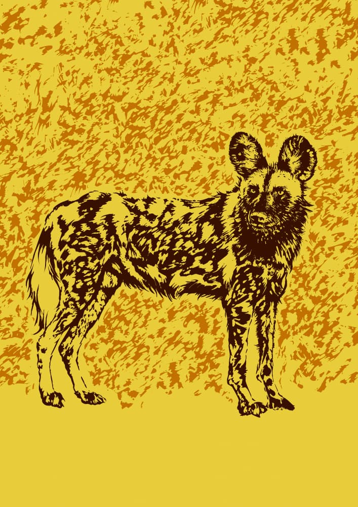 African Wild Dog by Carlo Kaminski — canvas wall art