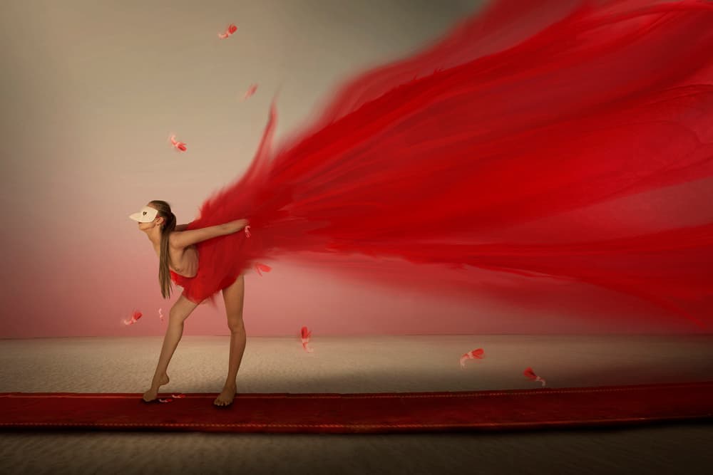 Red Masked Dancer by Christine von Diepenbroek — canvas wall art