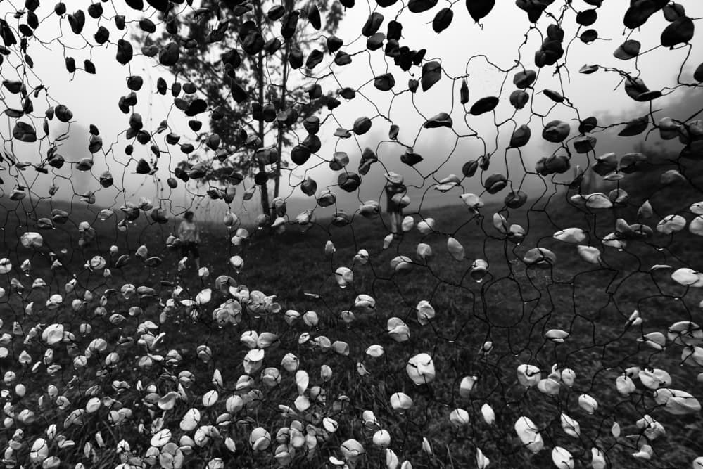 Misty Stone Field by Primož Kožuh — canvas wall art