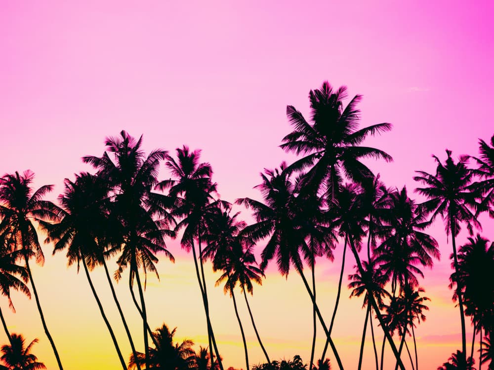 Pink Sky Palm Trees by Ohkimiko — canvas wall art