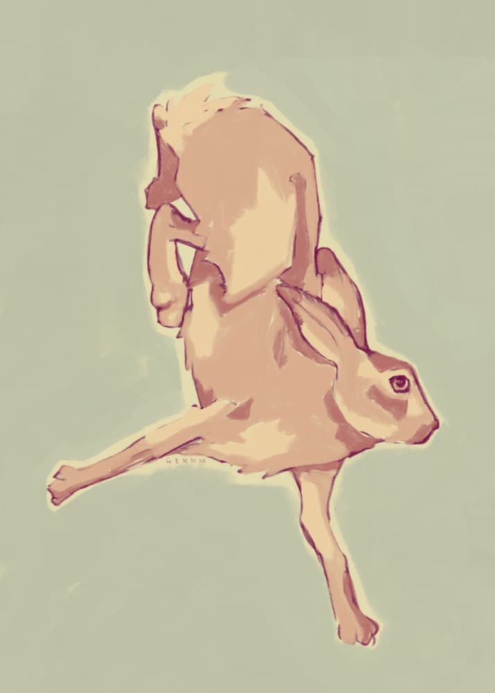 Leaping Pink Rabbit by Josephin Hermsdorf — canvas wall art