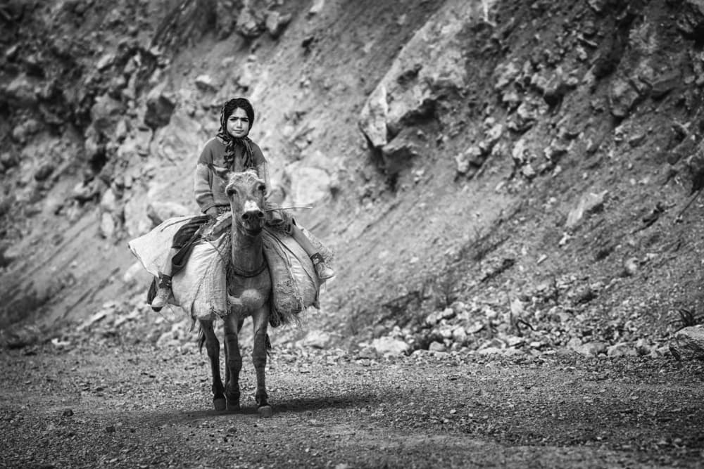 Young Rider's Mountain Journey by Mohammadreza Momeni — canvas wall art