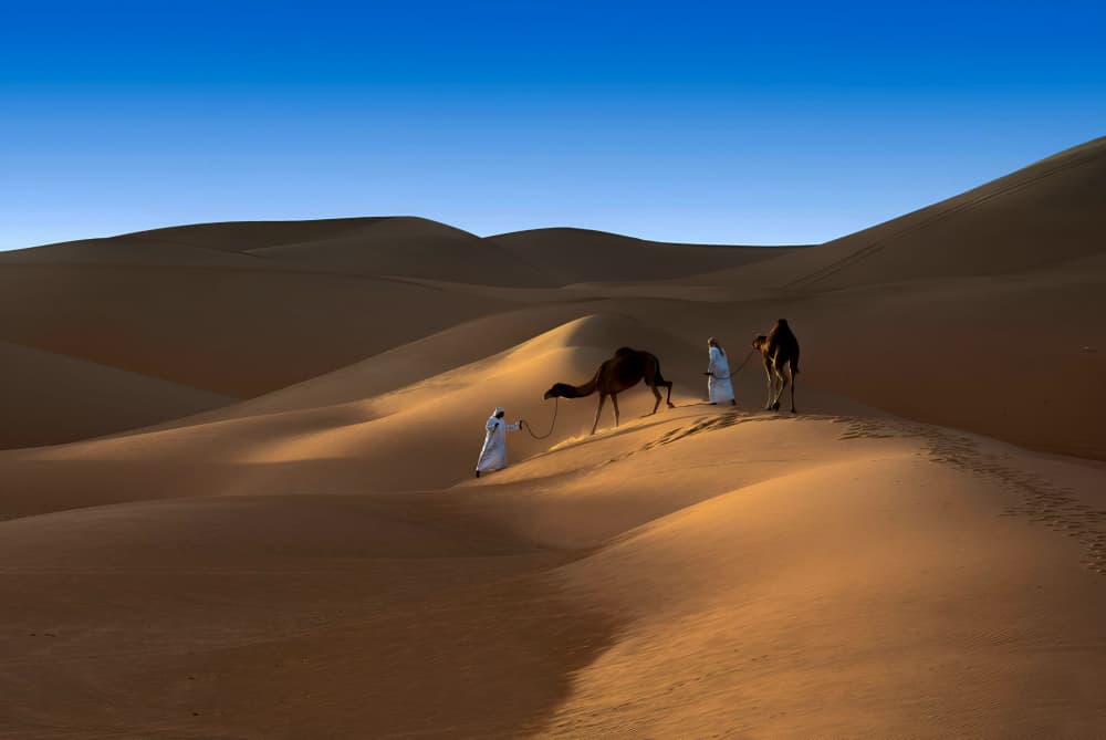 Golden Dunes Caravan by Karim Al Thahaby — canvas wall art