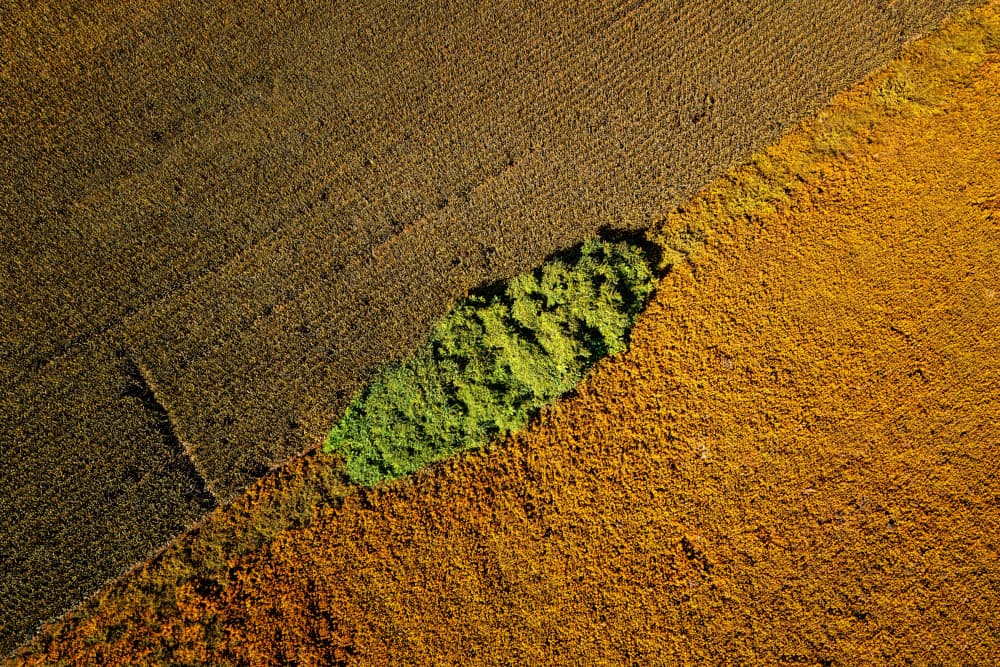 Aerial Fields Tapestry by Lucie Gagnon — canvas wall art