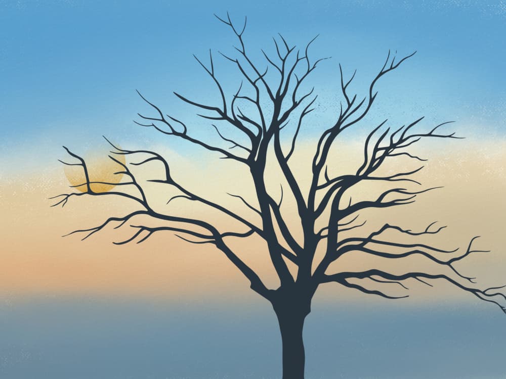 Sunset Tree Silhouette by Little Dean — canvas wall art