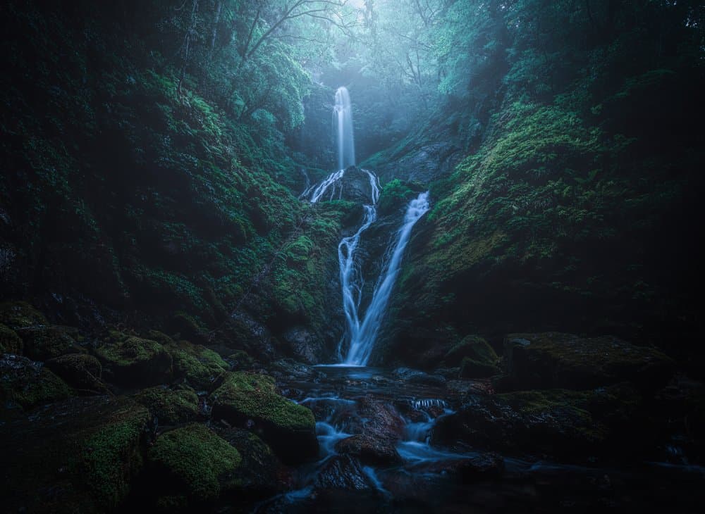 Misty Forest Waterfall by Takafumi Yamashita — canvas wall art