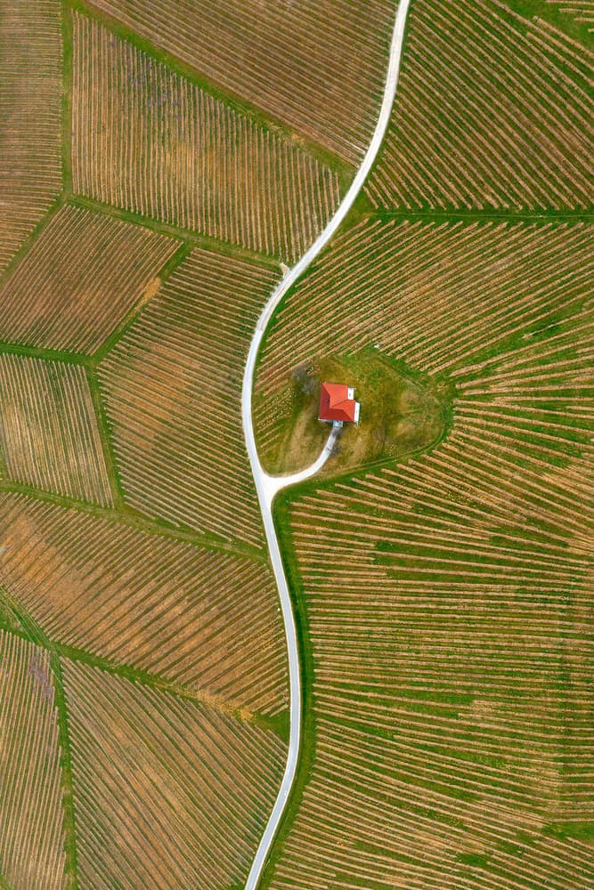 Winding Road Vineyard Home by Jure Kravanja — canvas wall art