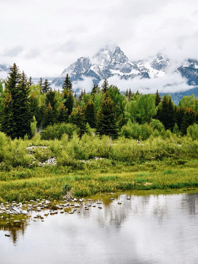 Serene Mountain Forest Lake by Del Mundo Imagery — canvas wall art