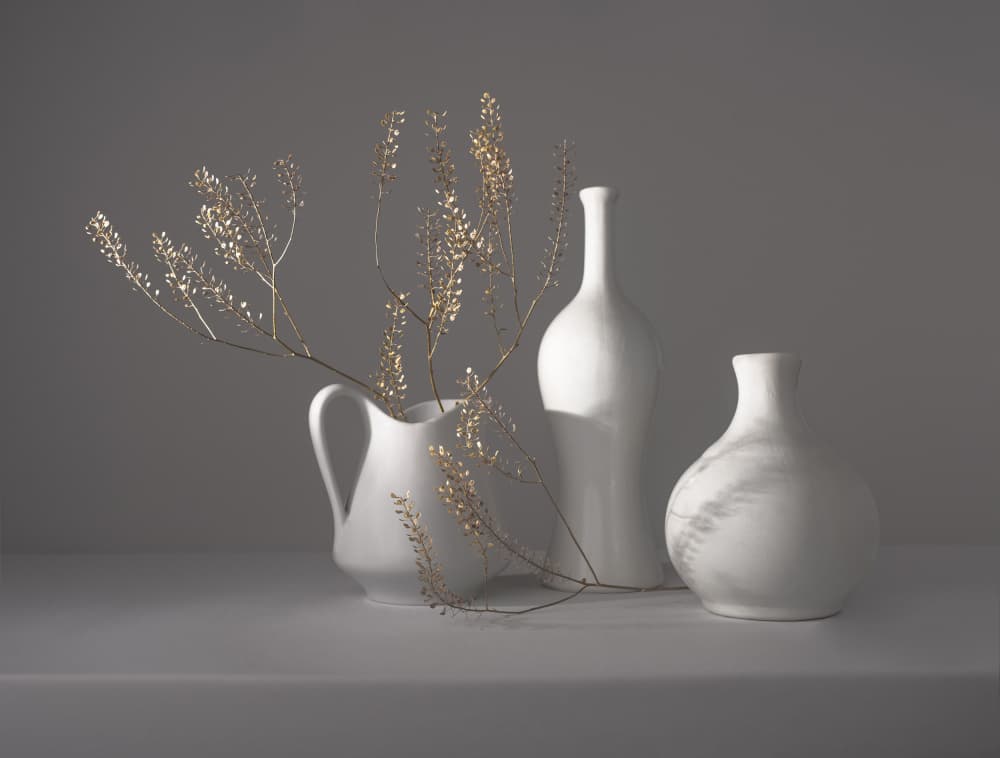 Minimalist Botanical Still Life by Margareth Perfoncio — canvas wall art