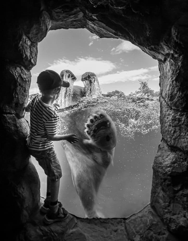 Child And Polar Bear by Jörg Vollrath — canvas wall art