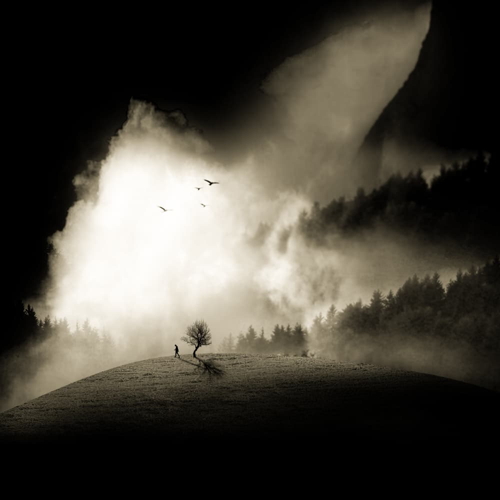 Misty Hillside Solitude by Hadi Malijani (Malenjani) — canvas wall art