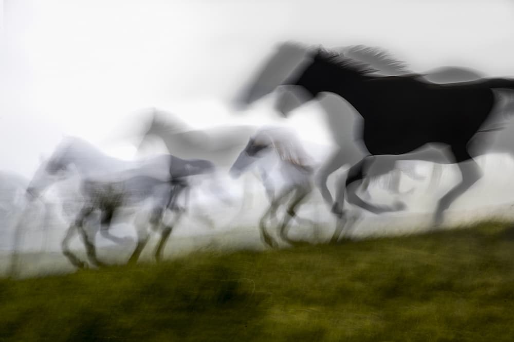 Wild Horses Running by Milan Malovrh — canvas wall art