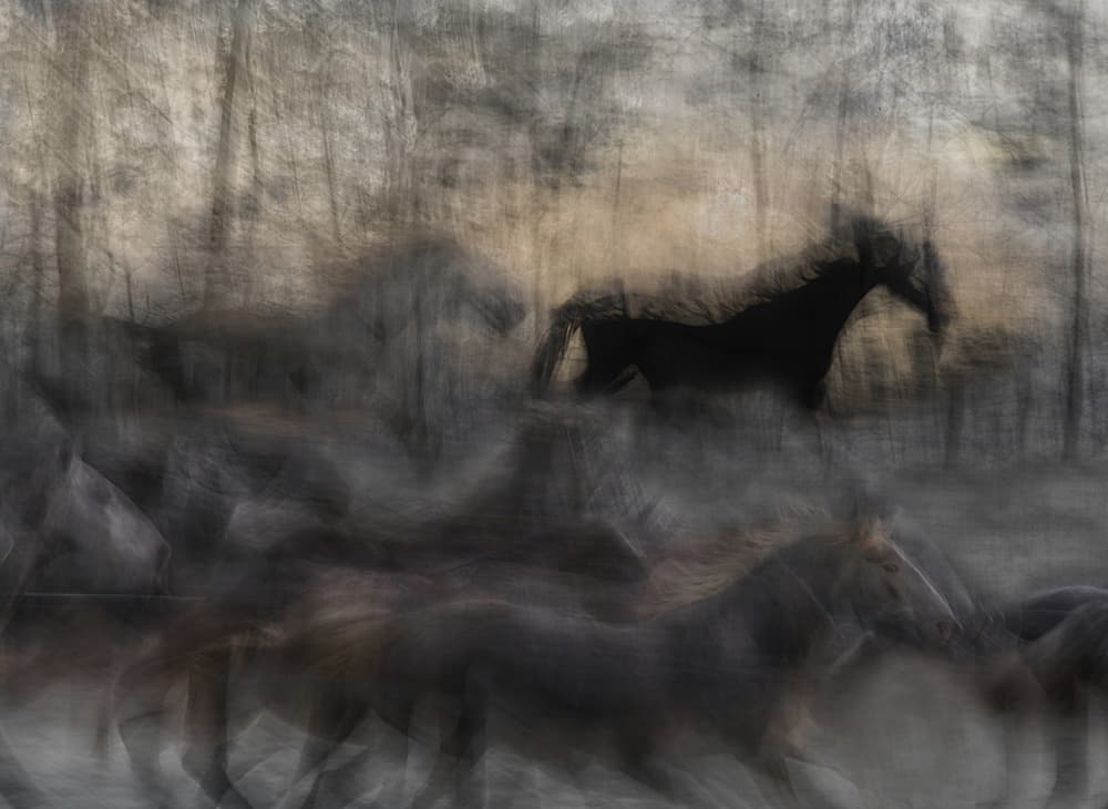 Ethereal Galloping Horses by Milan Malovrh — canvas wall art