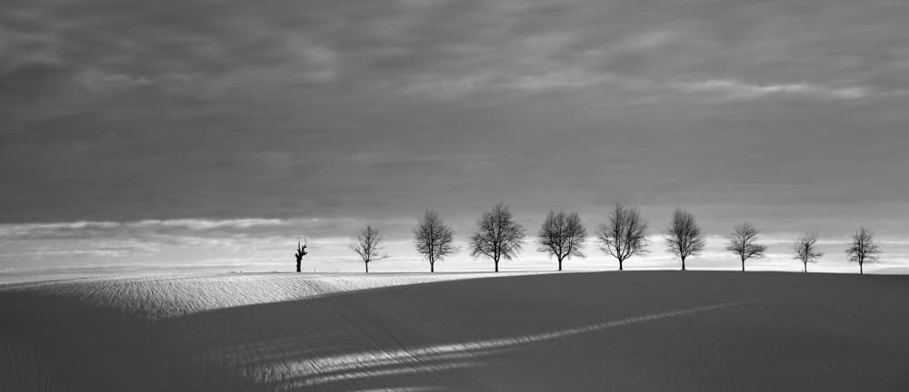 Winter Landscape Solitude by Hans Peter Rank — canvas wall art