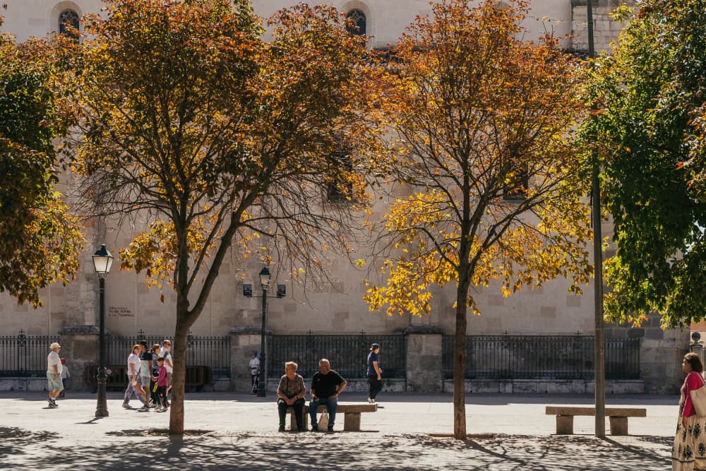 Sunny Autumn Plaza by Aimee Giles — canvas wall art
