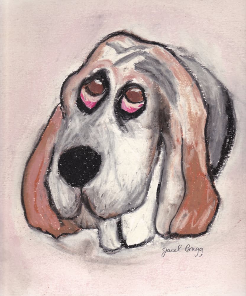 Sleepy Basset Hound by Janel Bragg — canvas wall art