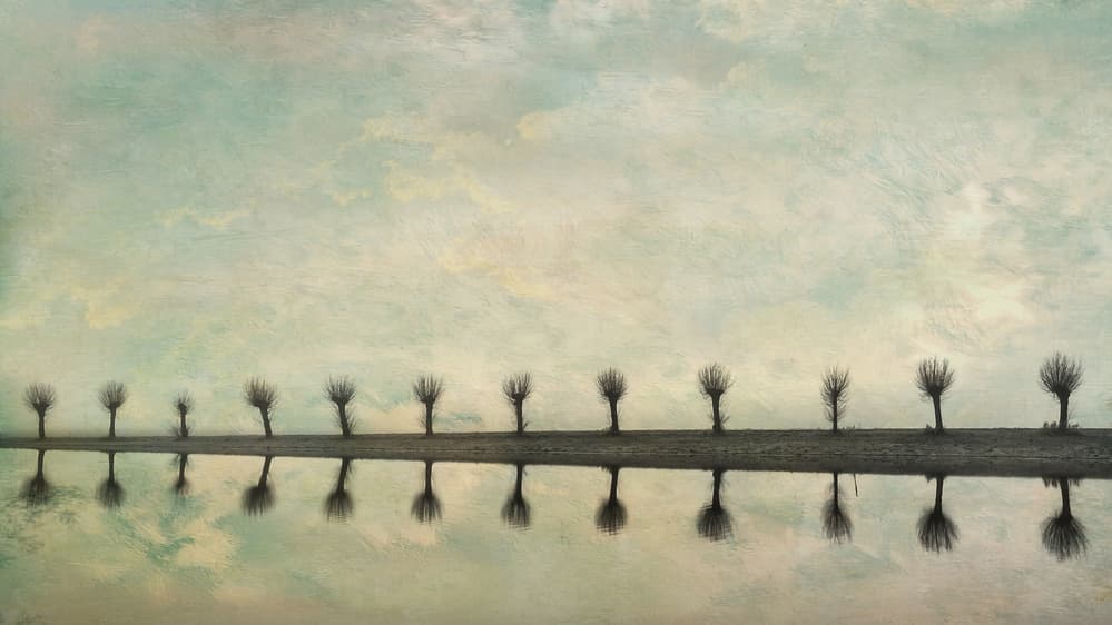 Serene Tree Reflections by Ytje Veenstra — canvas wall art
