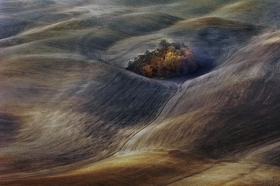 Golden Rolling Hills by Jure Kravanja — canvas wall art