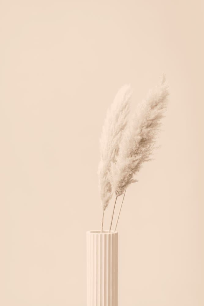Soft Pampas Vase by Pictufy Studio III — canvas wall art