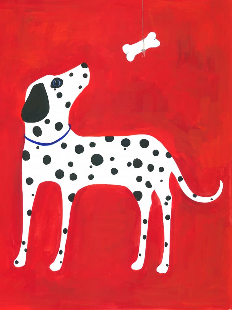 Dalmatian Bone Dream by Isabelle Brent — canvas wall art